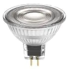 Ledvance Performance LED Spot Reflector GU5.3 MR16 5W 345lm 36D - 940 Koel Wit | Beste Kleurweergave - Dimbaar - Vervangt 35W